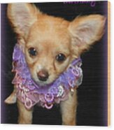 Happy Birthday Chihuahua Wood Print