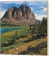 High Uintas Wilderness Area Wood Print