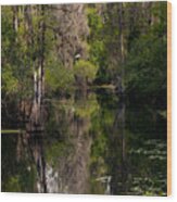 Hillsborough River In March Wood Print