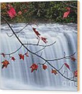 Hooker Falls Blue Ridge Mountains North Carolina Wood Print