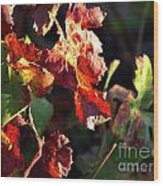 Hot Autumn Leaves Wood Print