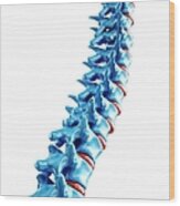 Human Spine, Artwork Wood Print