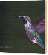 Hummingbird's Visit Wood Print