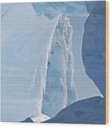 Icebergs Caught In Frozen Ice Shelf Wood Print