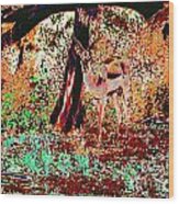 Impala In The Forest Wood Print