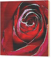 In the Hands of a Rose Mixed Media by Susan Epps Oliver | Fine Art America