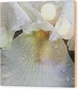 #iris #flower #whiteflowers #white Wood Print