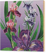 Iris On Purple Wood Print