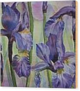 Iris Wood Print
