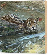 Jaguar In For A Swim Wood Print