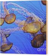 Jellyfish 6 Wood Print