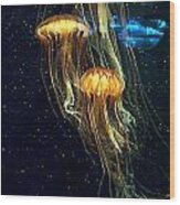Jellyfish Wood Print