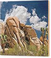 Joshua Tree Wood Print