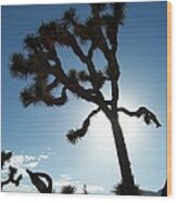 Joshua Tree Wood Print