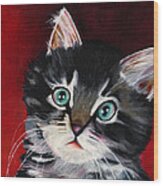 Kitten In Red Wood Print