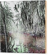 Lake Martin Swamp Wood Print