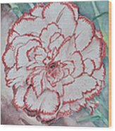 Large Carnation Wood Print