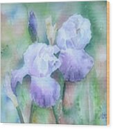 Lavender Iris Wood Print