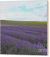 Lavenders Wood Print