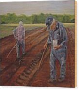 Laying Off Rows Wood Print