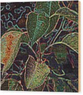 Leaves Wood Print