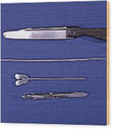 Lincoln Autopsy Instruments, 1856 Wood Print