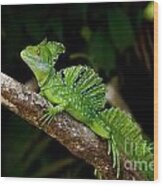 Lizard On A Stick Wood Print
