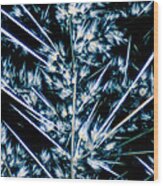 Lm Of Crystals Of Streptomycin Wood Print