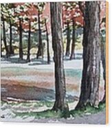 Lost Maples Wood Print