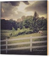 Love This Photo Of A #horse On A #hill Wood Print