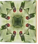 Lovely Ladybug Kaleidoscope Wood Print