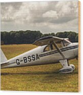 Luscombe 8e Deluxe 2 Seater Plane Wood Print