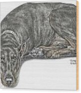 Lying Low - Doberman Pinscher Dog Print Color Tinted Wood Print