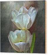 Majestic Tulips Wood Print