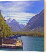 Marine Mammal Research Outpost Milford Sound Wood Print