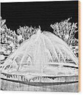 Market Common Fountain Infrared Wood Print