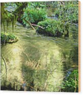 Mckenzie Pool Wood Print