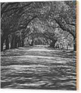 Mobley Oaks Wood Print