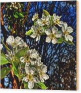 Moonlight Pear Blossoms Wood Print