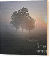 Morning Fog Wood Print