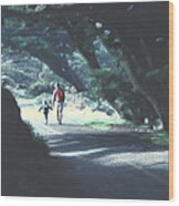 Mother And Child Walking Through Point Reyes Park Wood Print