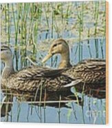 Mottled Duck Pair Wood Print