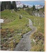 Mountain Path Wood Print