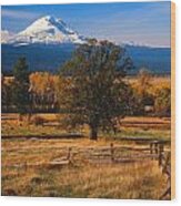 Mt. Adams Autumn Wood Print