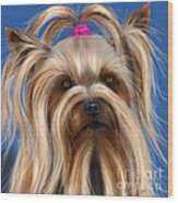 Muffin - Silky Terrier Dog Wood Print by Michelle Wrighton