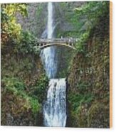 Multnomah Falls Wood Print