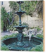 New Orleans Fountain Wood Print