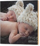 Newborn Twins Wood Print