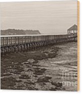 Nisqually Boardwalk Wood Print