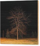 November Night Wood Print